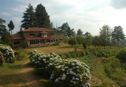 Bob Place