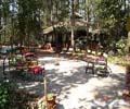 Kanha Jungle Lodge