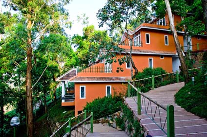 Tea Valley Resort