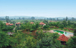 Krishna Jungle Resort