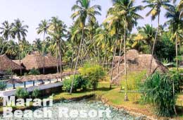 Marari Resort,Marari Beach Resort