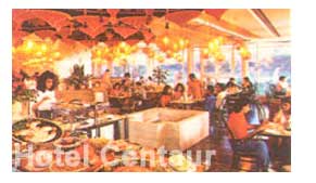 Centaur Hotel New Delhi, New Delhi Centaur Hotel, New Delhi Airport Hotels,  Centaur Hotel Delhi Airport Delhi, Hotels in 
				New Delhi, New Delhi Hotels, Hotel Booking for Centaur Hotel New Delhi Airport Delhi