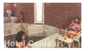 Centaur Hotel New Delhi, New Delhi Centaur Hotel, New Delhi Airport Hotels,  Centaur Hotel Delhi Airport Delhi, Hotels in 
				New Delhi, New Delhi Hotels, Hotel Booking for Centaur Hotel New Delhi Airport Delhi