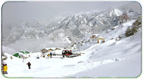 Auli Summer Packages