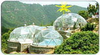 Chail Winter Packages
