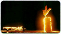 Chandigarh Summer Packages