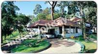 Cloud9 Resort, Munnar