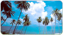 Goa Summer Packages