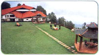 Kufri Winter Packages