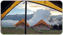 Manali Winter Packages