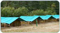 Mashobra Winter Packages
