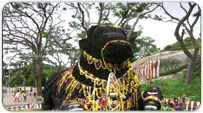 Mysore Summer Packages