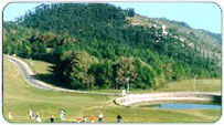 Naldehra Winter Packages