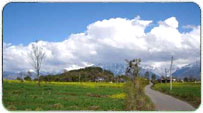 Palampur Winter Packages