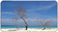 Port Blair Summer Packages