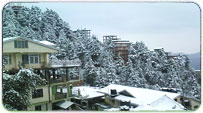 Shimla Winter Packages