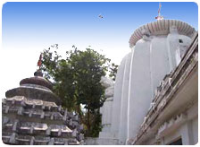 Goa Summer Packages