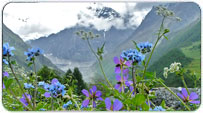 Uttaranchal Summer Packages