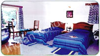 Victor 
Exotica Beach Resort Goa