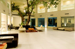Hotel Avalon Courtyard Delhi