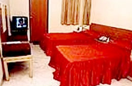 Hotel Gold Regency, Delhi