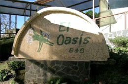 Hotel Oasis Delhi, Delhi