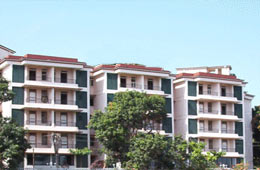 Palmarinha Goa