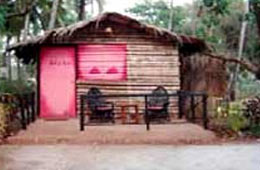 Wilderness camp of India