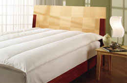 Ashiana Hotel Rajkot