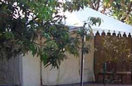 Taj Gir Lodge Sasangir