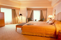 The Hotel Airport Vadodara