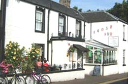 Cedar Inn Chail