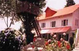 Alps Holiday Resort 