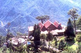 Hotels in Kasauli