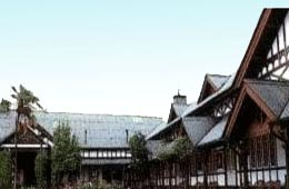 Hotel Pinewood Manali
