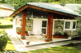 Hotels in Manali