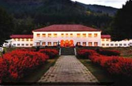 Heritage Hotels in Srinagar 