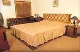 Metro Hotel Srinagar