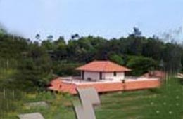 Premium Hotels in Coorg