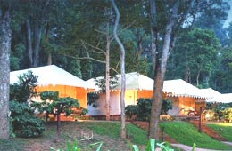 The Camp Coorg