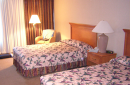 Hotel Airlines Mysore