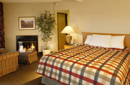 Hotel Brindavan Mysore