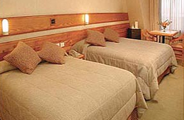 Hotel Paradise Mysore