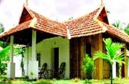 Palm Grove Lake Resort Alleppey