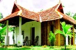 Palm Grove Lake Resort Alleppey