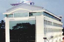 The Renaissanace
