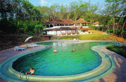 Dukes Forest Lodge