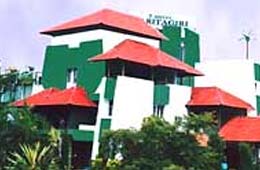 Budget Hotels in Wayanad
