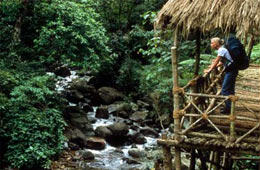Green Magic Nature Resorts, Wayanad