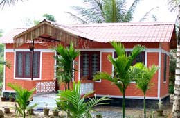 Tree Houses